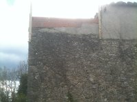 IMG 0206