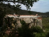 IMG 0252