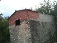 IMG 0255