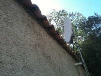 IMG 0270