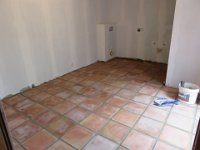 IMG 1337