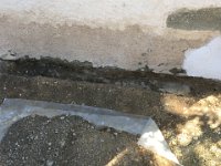 IMG 0787