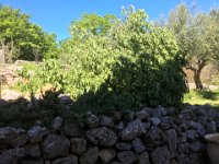 IMG 0795