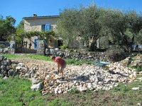 IMG_1836