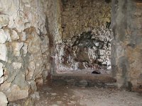 IMG_1873