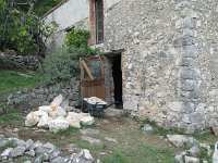 IMG_1875