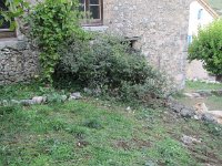 IMG_1876