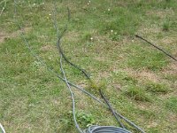 IMG_4050