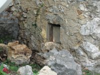 IMG 4619