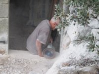 IMG 4648
