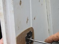 IMG 4666