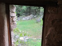 IMG 4676
