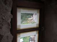 IMG 4681