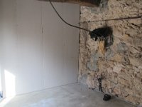 IMG 4813