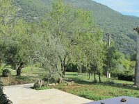 IMG 4819