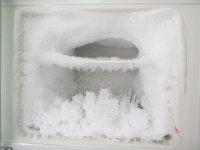 IMG 4824