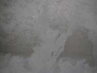IMG 4826