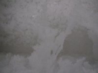 IMG 4827