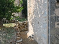 IMG 2503